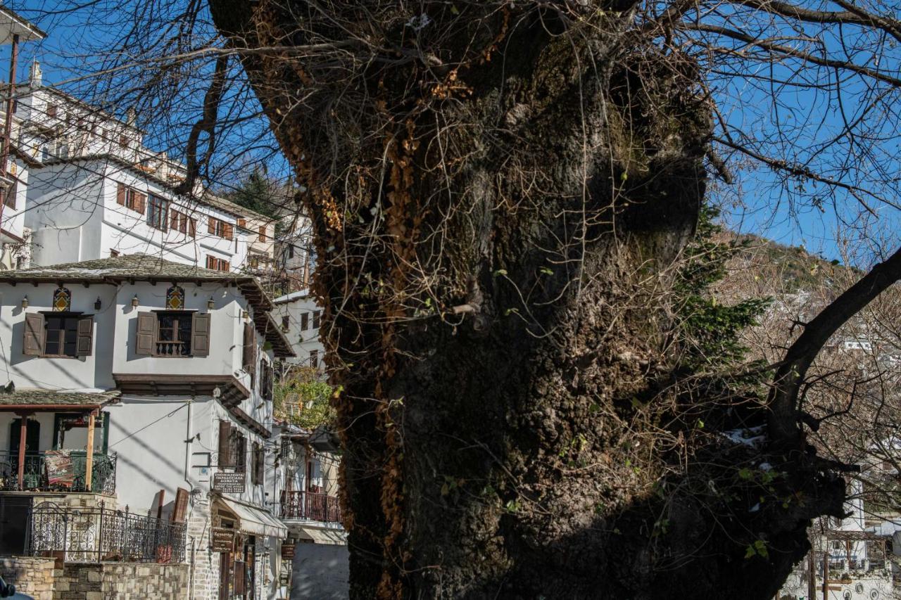 Philos Guesthouse Makrinitsa Bagian luar foto